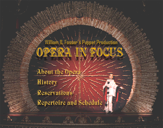 Welcome to Opera In Focus